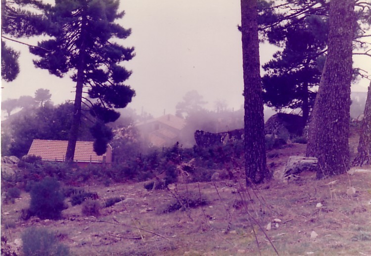 C5.jpg