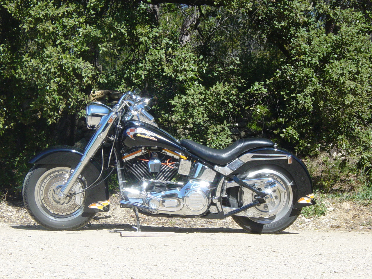 Softail 1.jpg