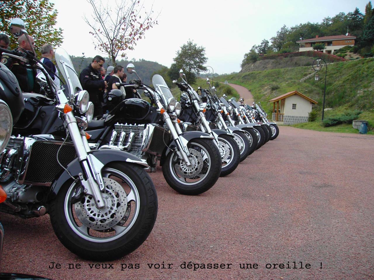 17_PasUneOreille.jpg