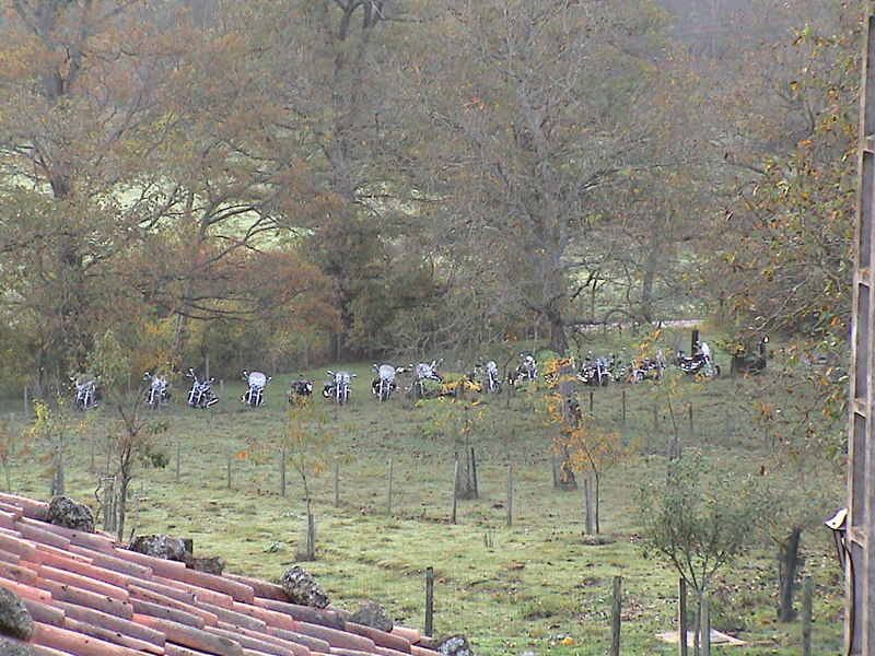 DSC00012.jpg