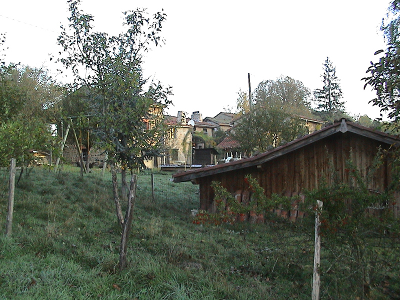 DSC00013.jpg
