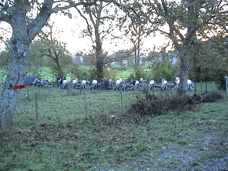DSC00058.jpg