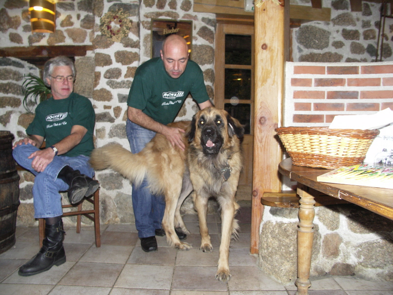 Dog b3.JPG