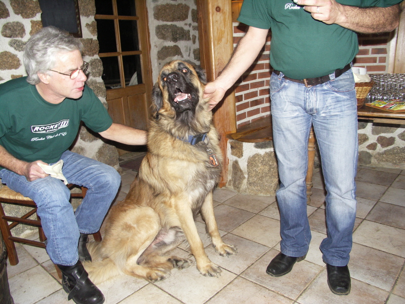 Dog b5.JPG
