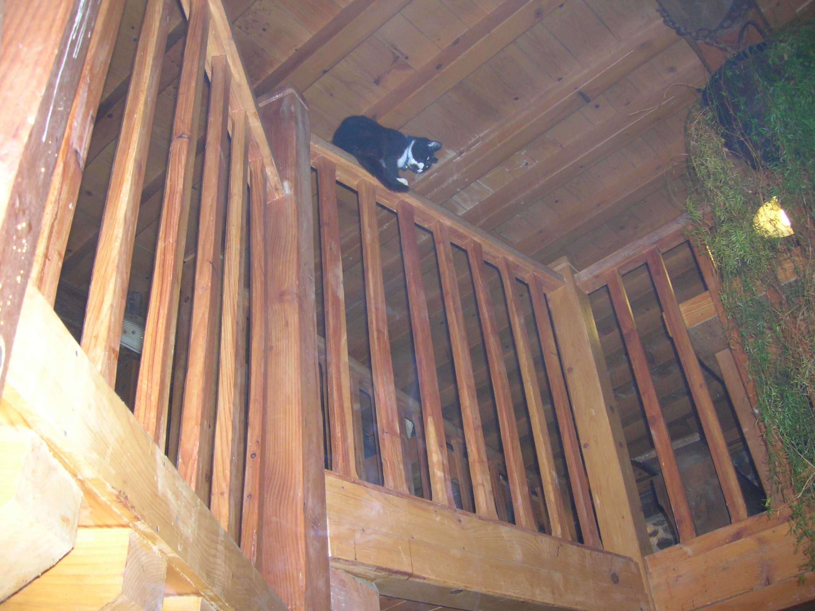 DSCN0999_WEB.jpg