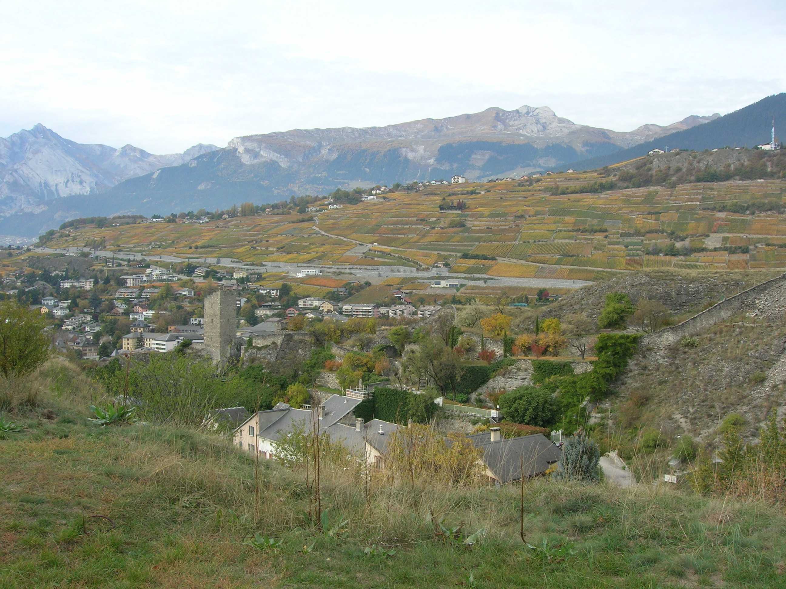 DSCN1013_WEB.jpg