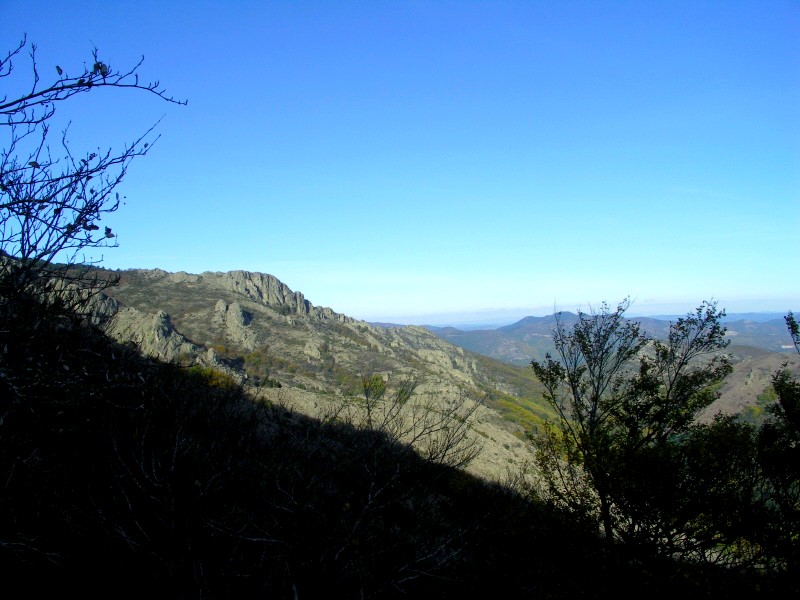07.JPG