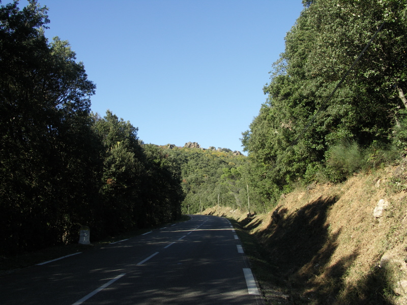 01.JPG
