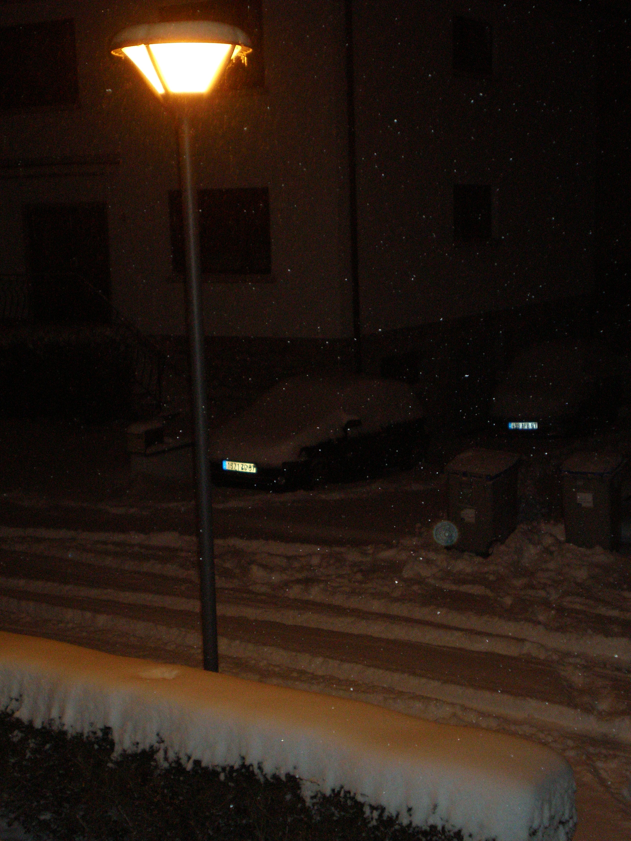 P1240045.JPG