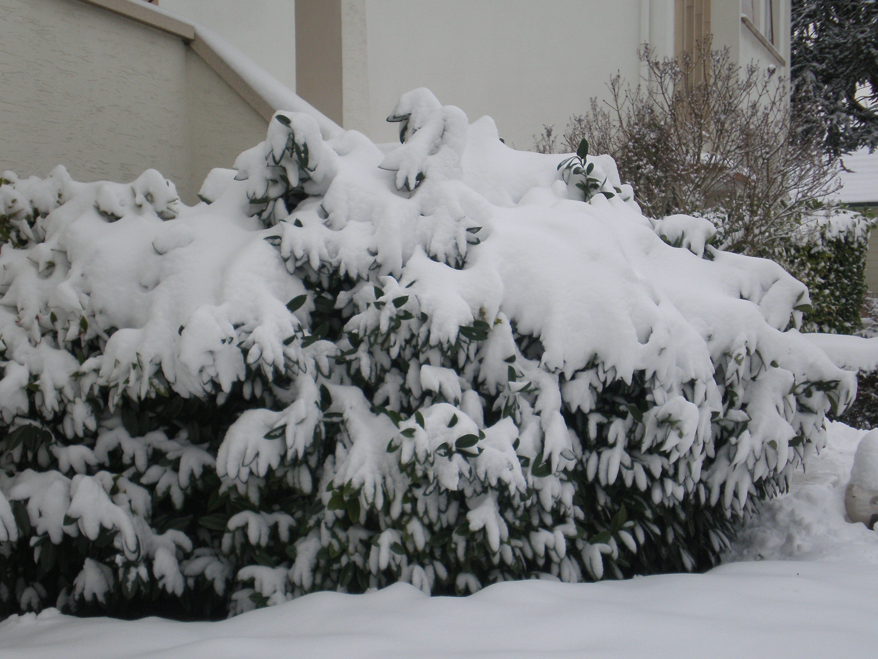 P1240053.JPG