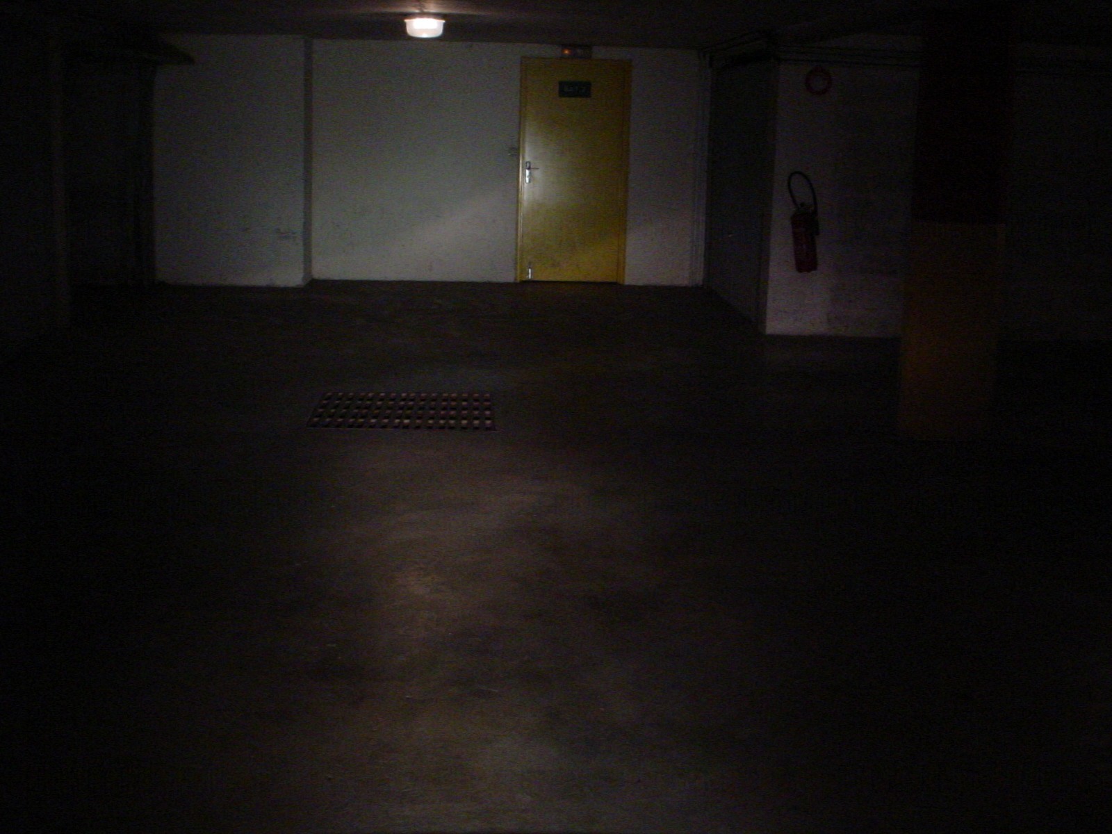 fc+motolight.jpg