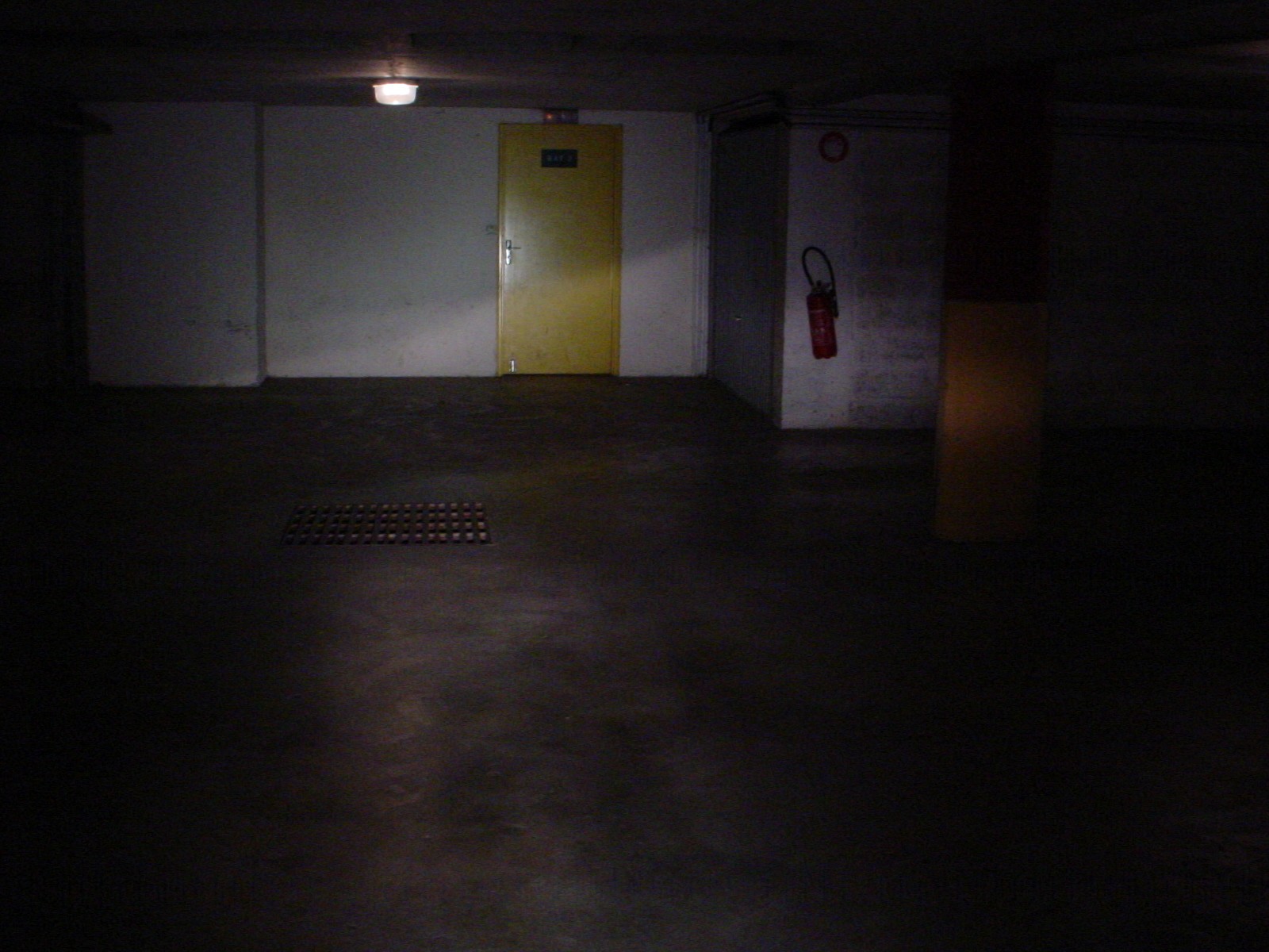 Vision Plus + Motolight.jpg
