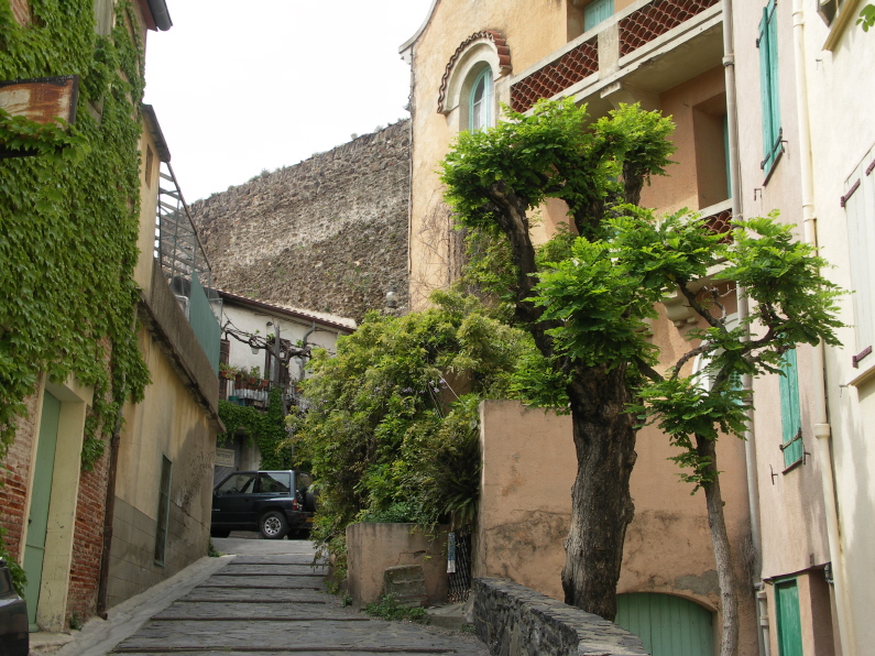 Collioure rue qui monte.JPG