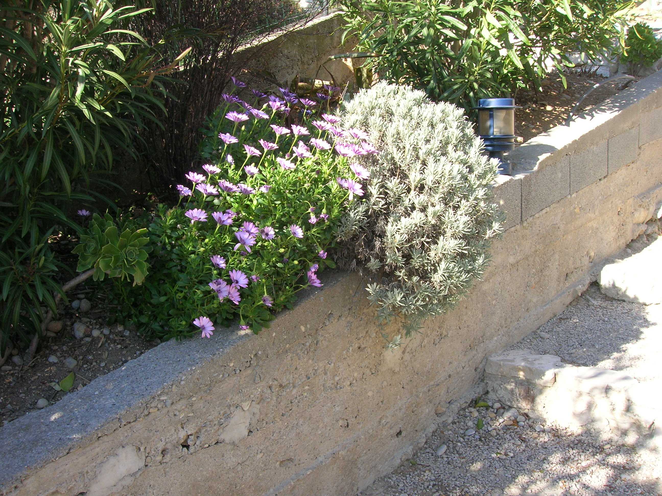 28.2.07b_WEB.jpg