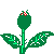 fleur9.gif
