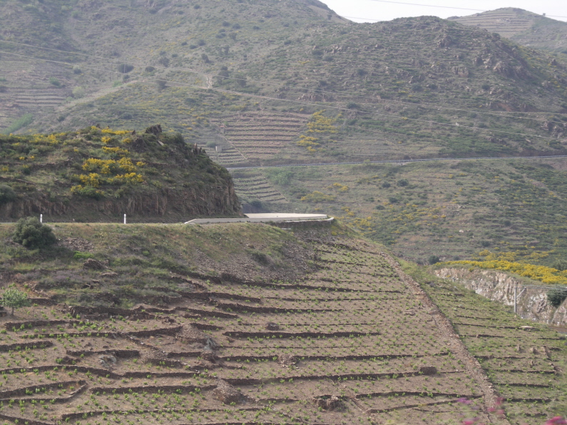Rte15.JPG