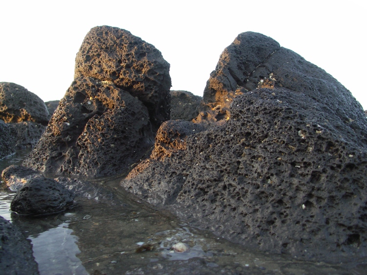 Bord de mer Rochelongue 2.JPG