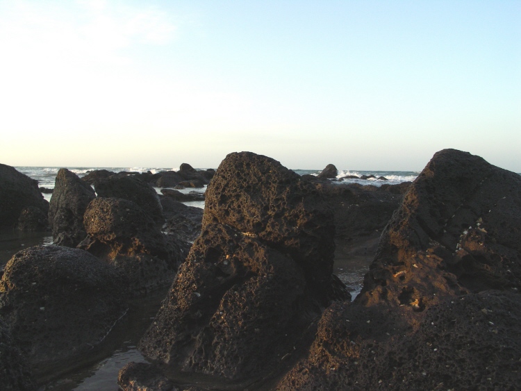 Bord de mer Rochelongue 3.JPG