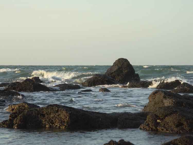 Bord de mer Rochelongue 4.JPG