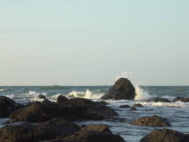 Bord de mer Rochelongue 5.JPG