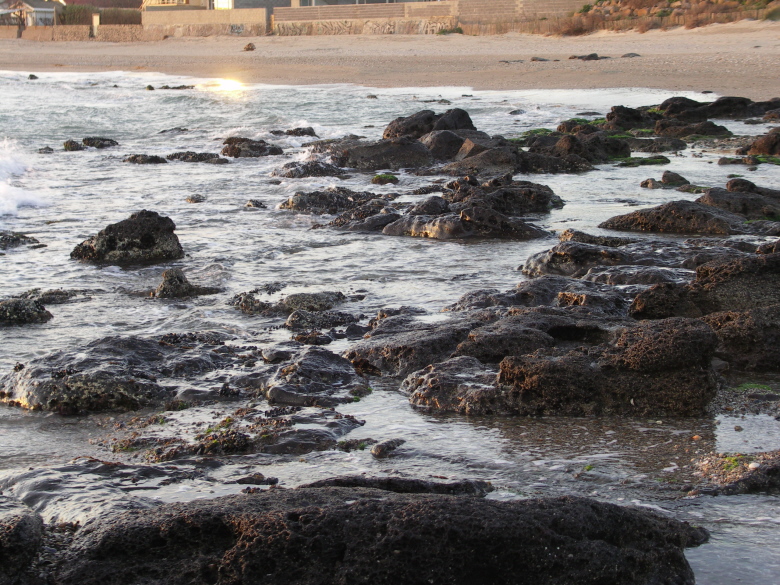 PICT0039.JPG
