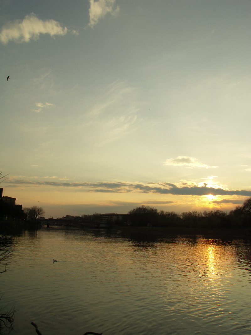 A contre jour 2.JPG