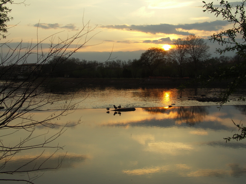 Coucher sur les canards.JPG