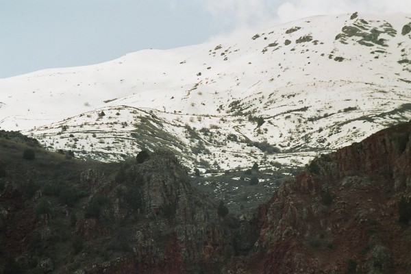 A17.JPG