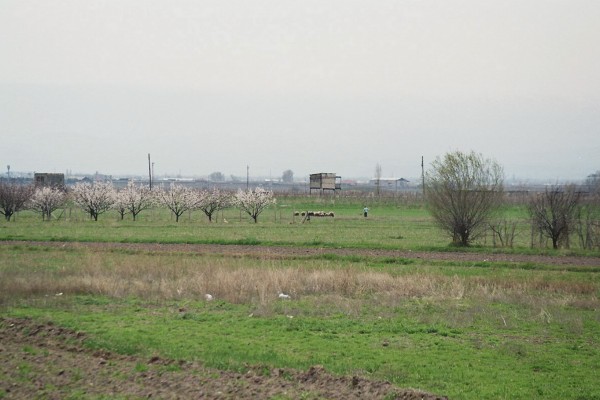 A22.JPG