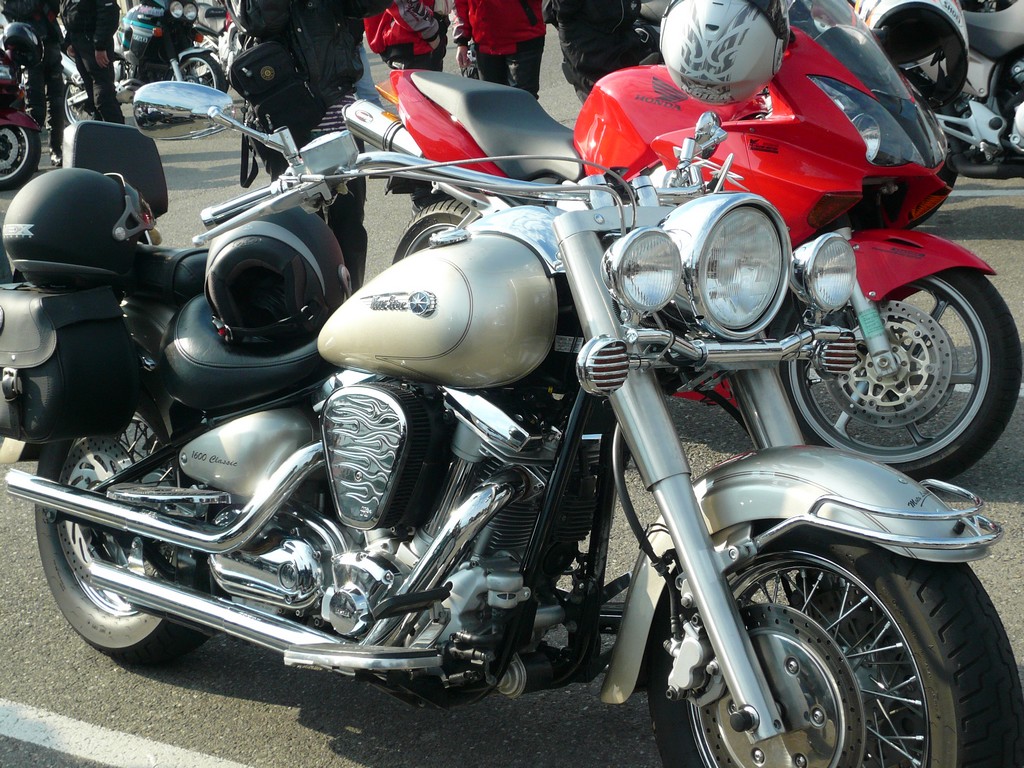 YAM WILD STAR 1600.jpg