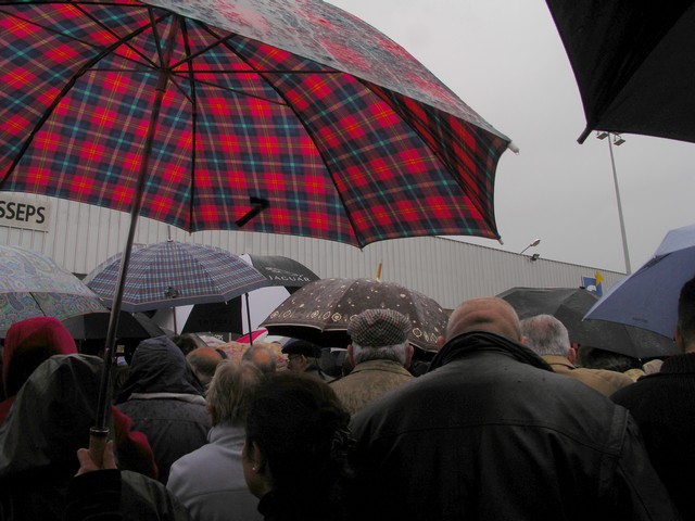 a Parapluie.jpg