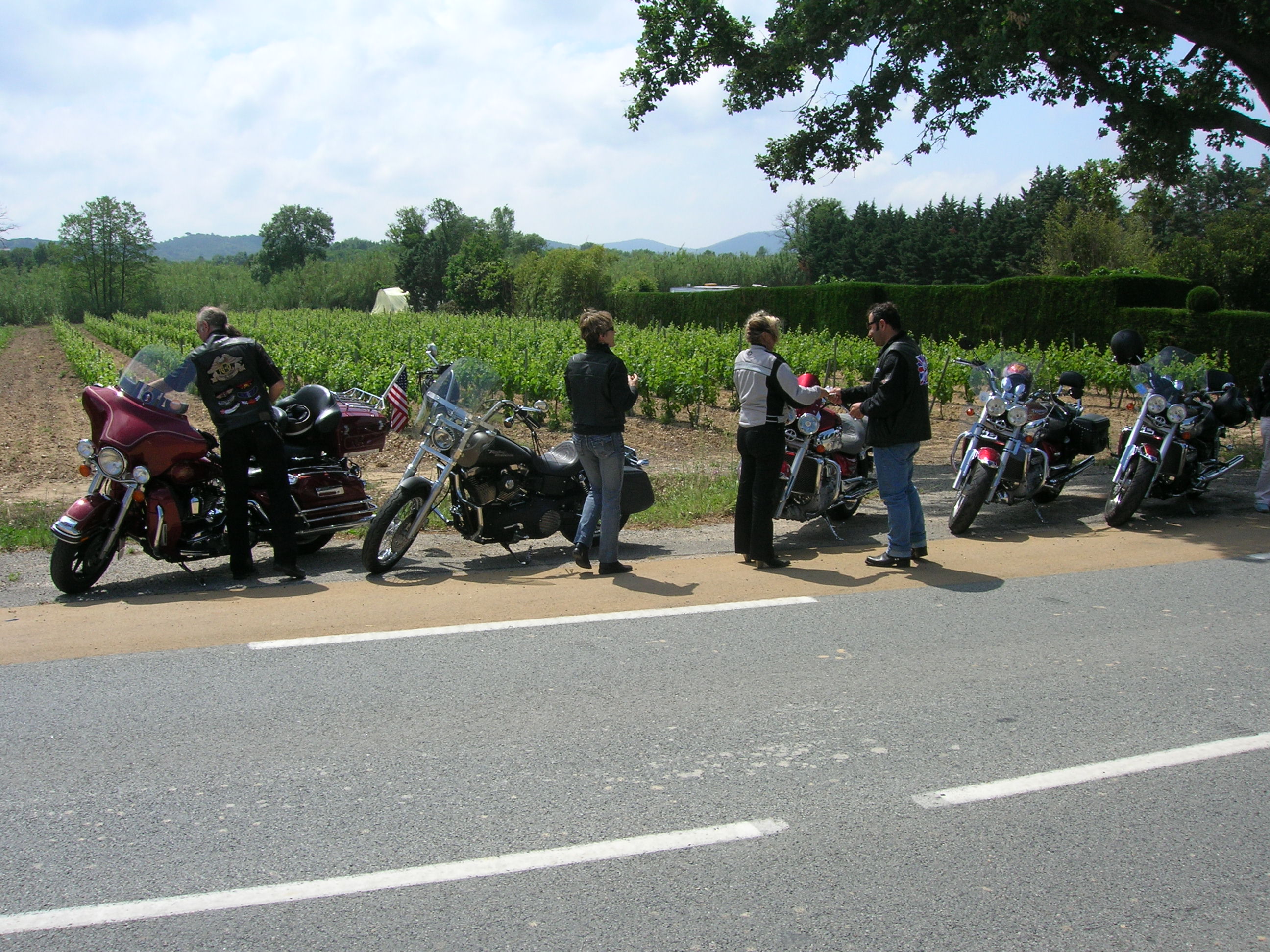 DSCN1489.JPG