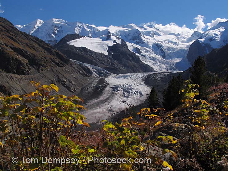 -Morteratsch-Glacier_leaf-color.jpg