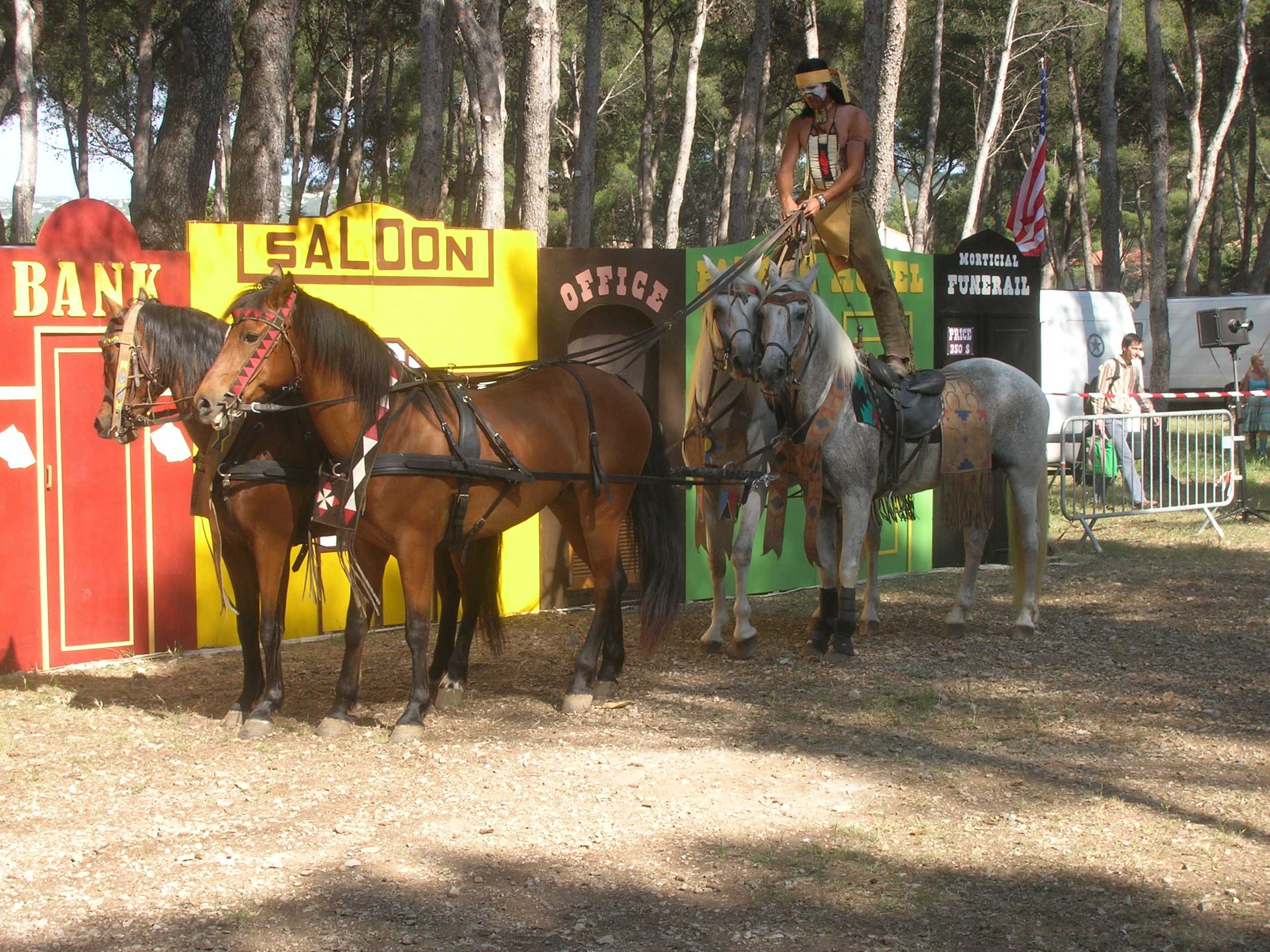 DSCN1606_WEB.jpg
