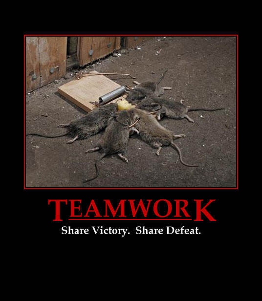 Rats.jpg